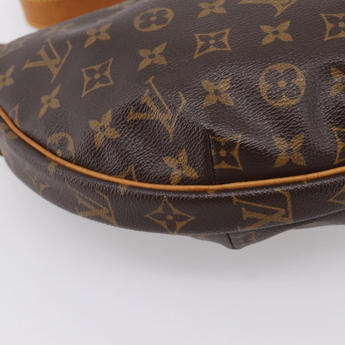 Louis Vuitton Croissant Monogram Canvas, Brown, Canvas, Handbag