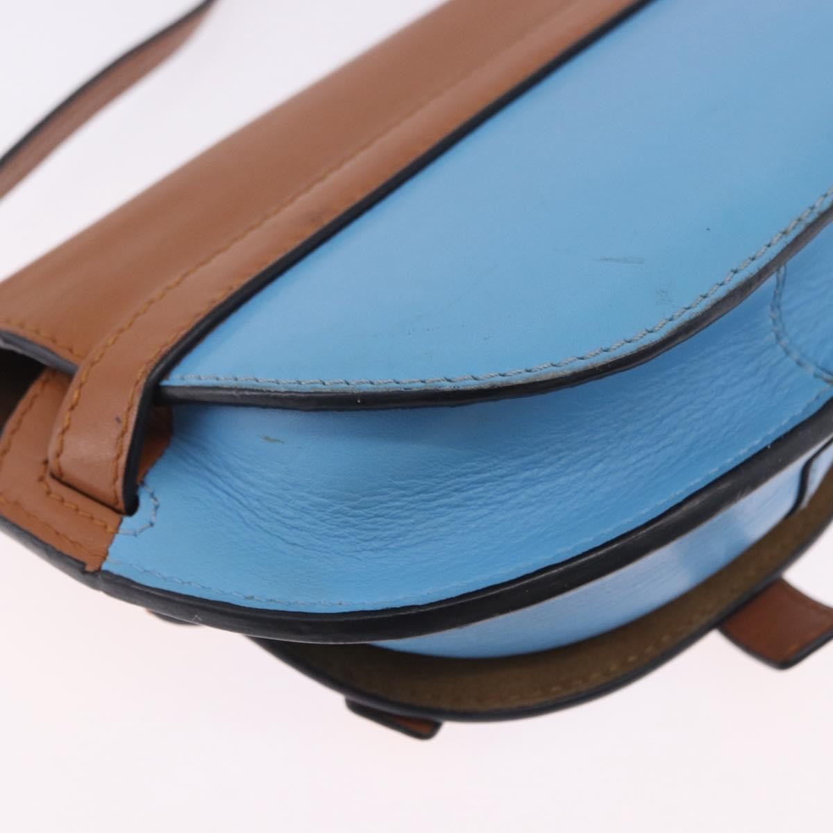 Loewe Metal Gate Leather, Multicolour, Leather, Shoulder Bag