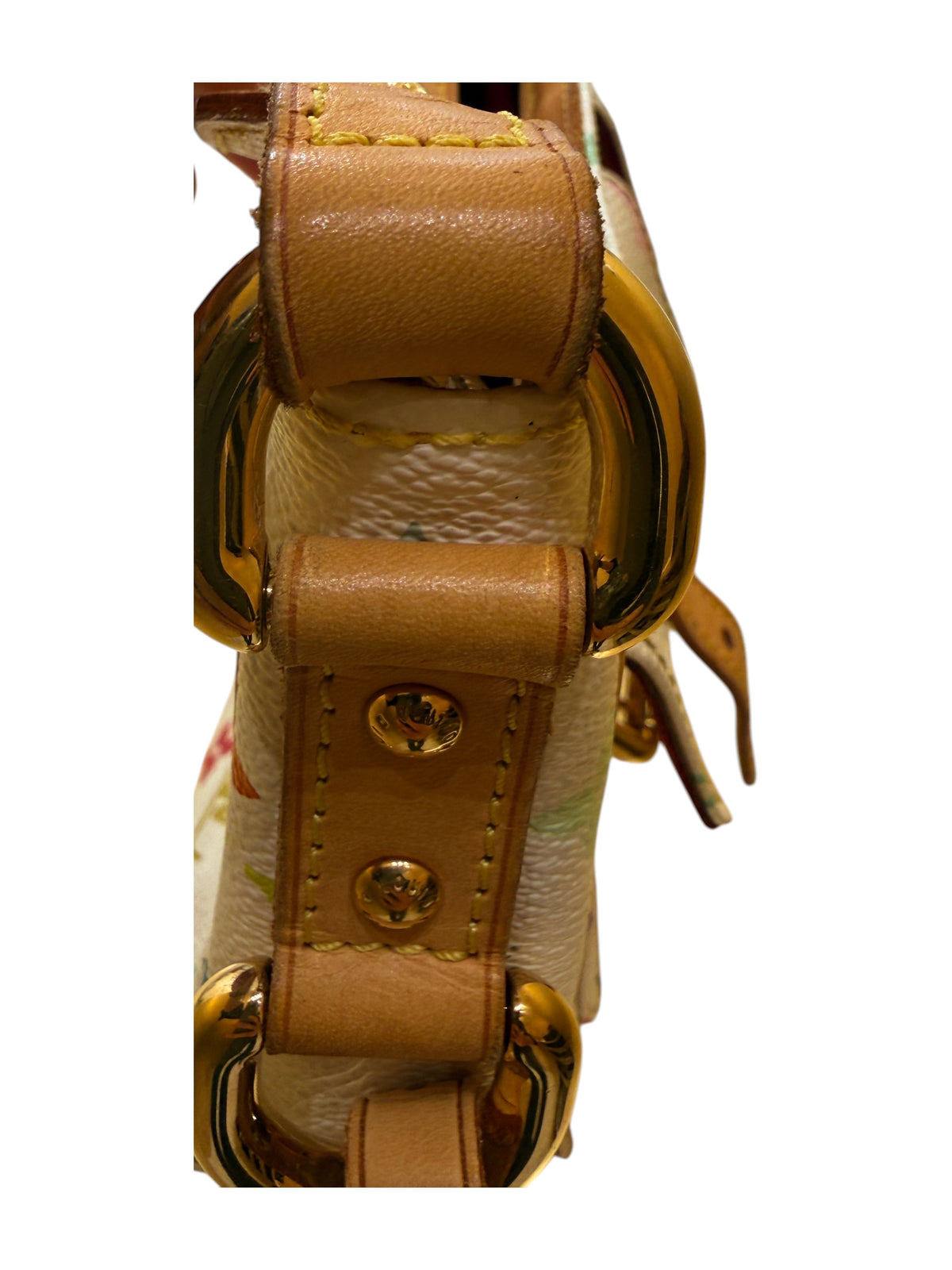 Louis Vuitton Lodge Monogram Multicolor, Multicolour, Canvas, Handbag