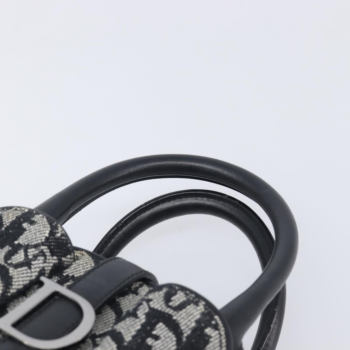 Christian Dior Trotter Double Saddle Canvas, Black, Canvas, Handbag