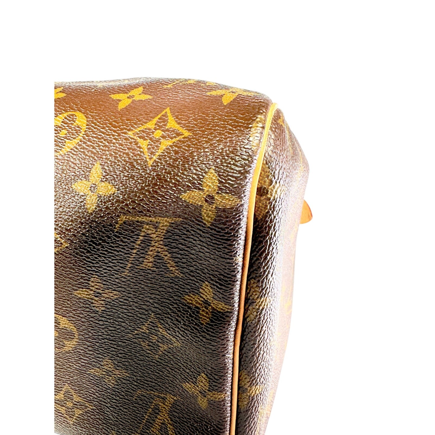 LOUIS VUITTON Speedy 30 LV Handbag