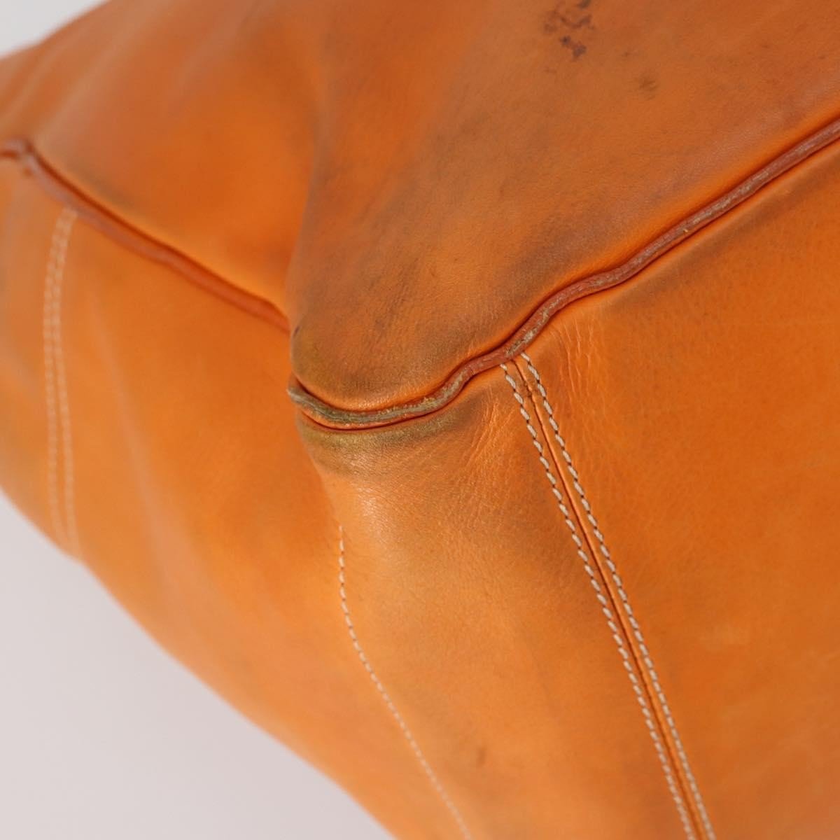 Celine Boogie Satchel - Brandsamsara