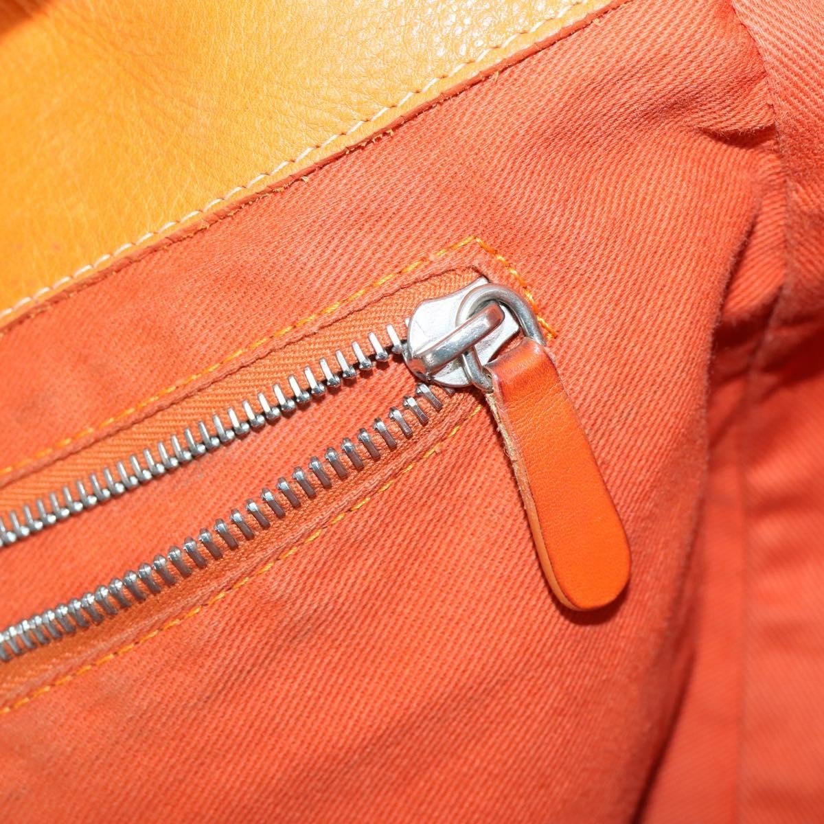 Celine Boogie Satchel - Brandsamsara