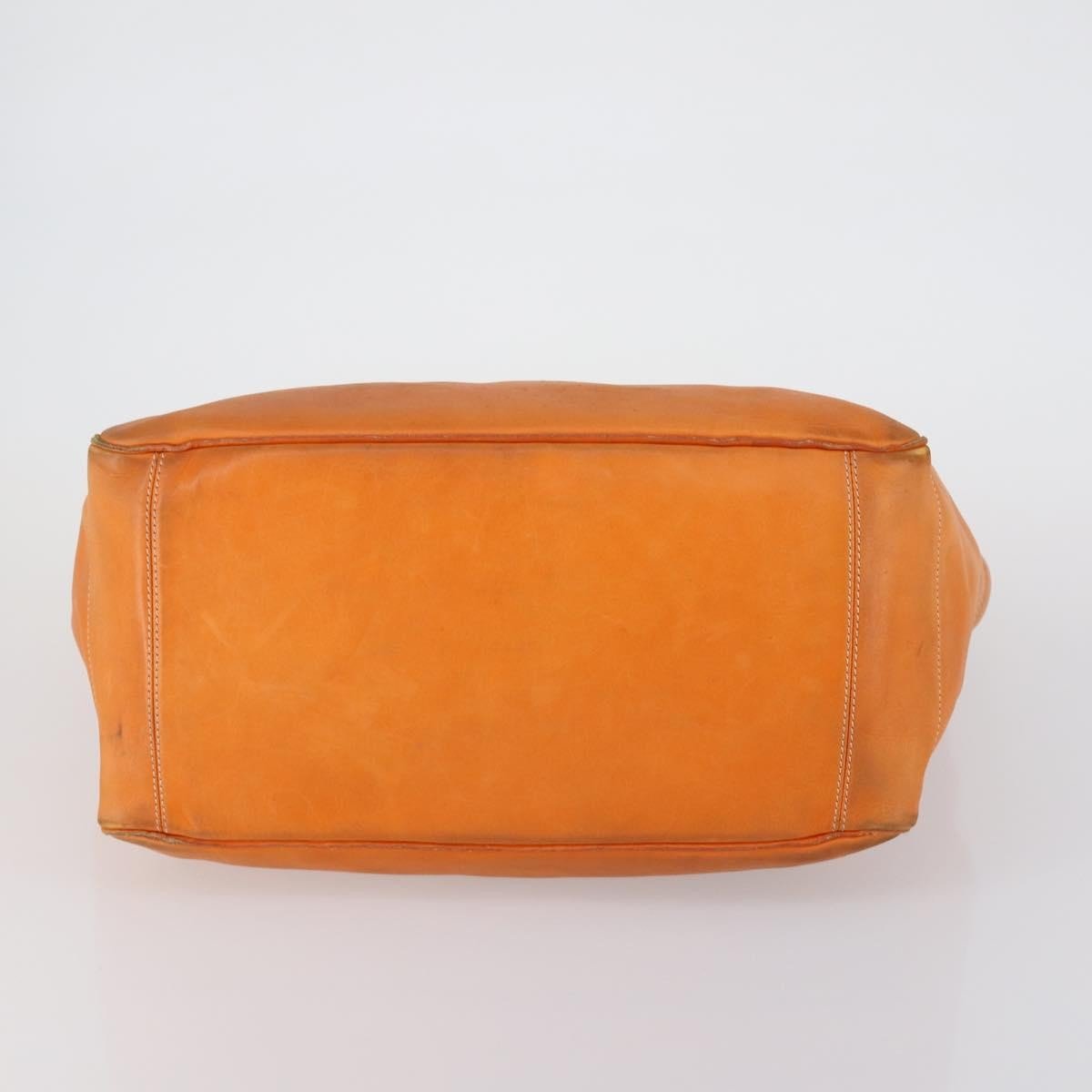 Celine Boogie Satchel - Brandsamsara