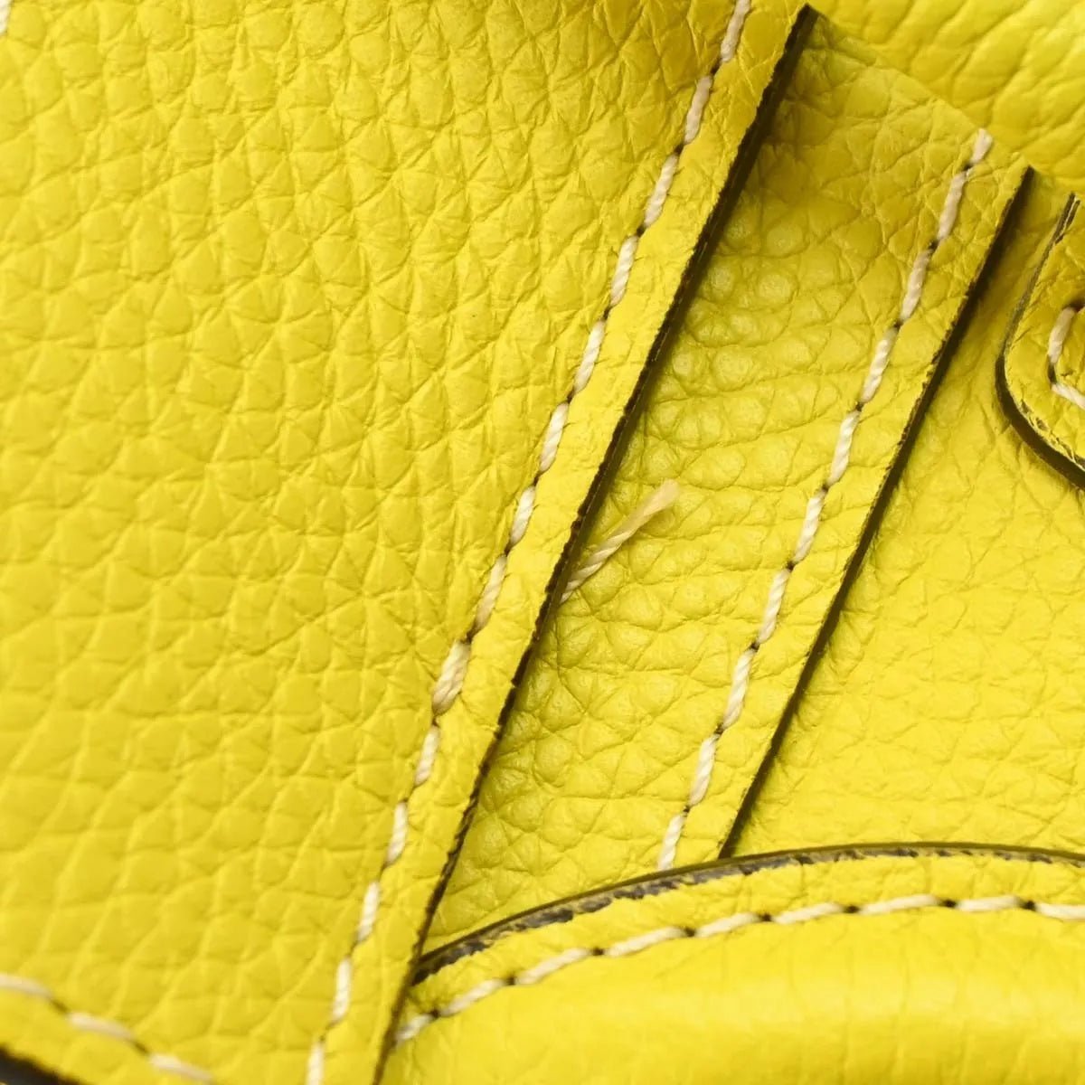 Celine Luggage - Brandsamsara