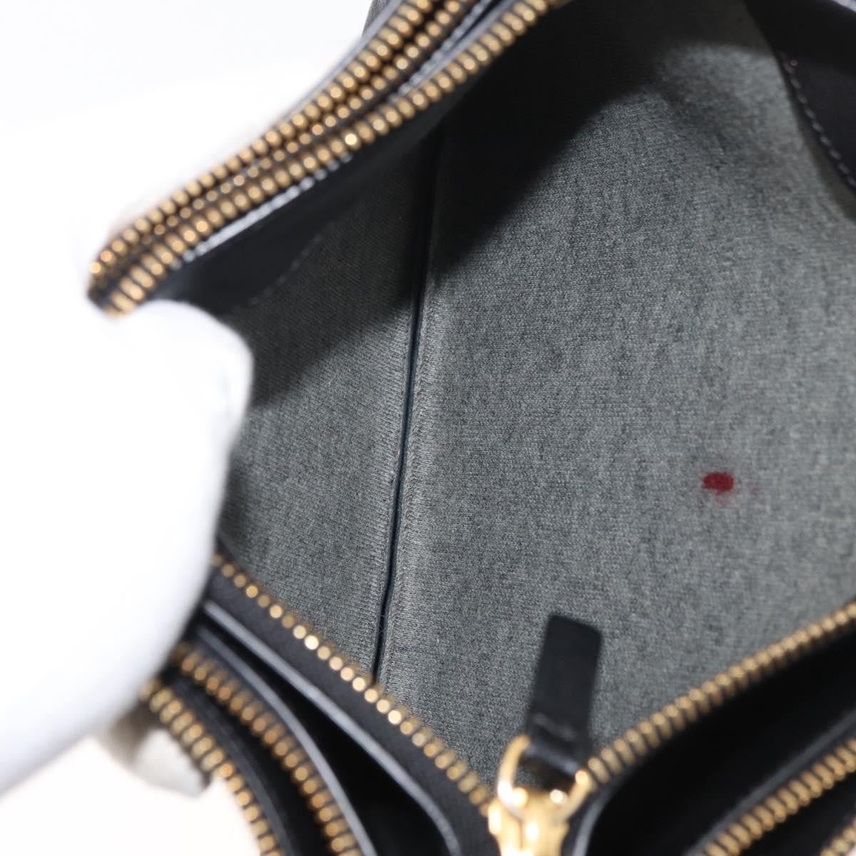 Celine Trio Crossbody Bag - Brandsamsara