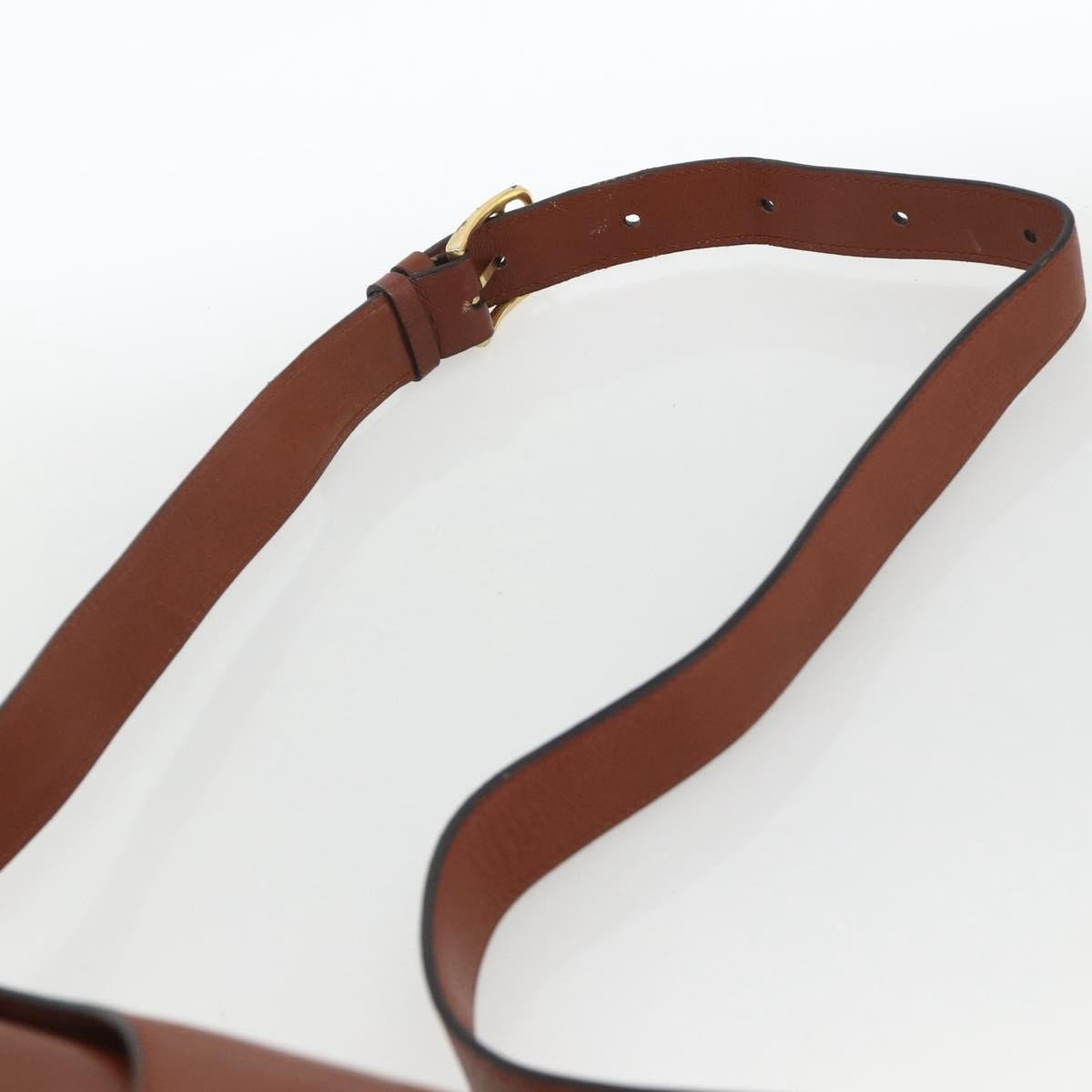 Celine Triomphe Shoulder Bag - Brandsamsara