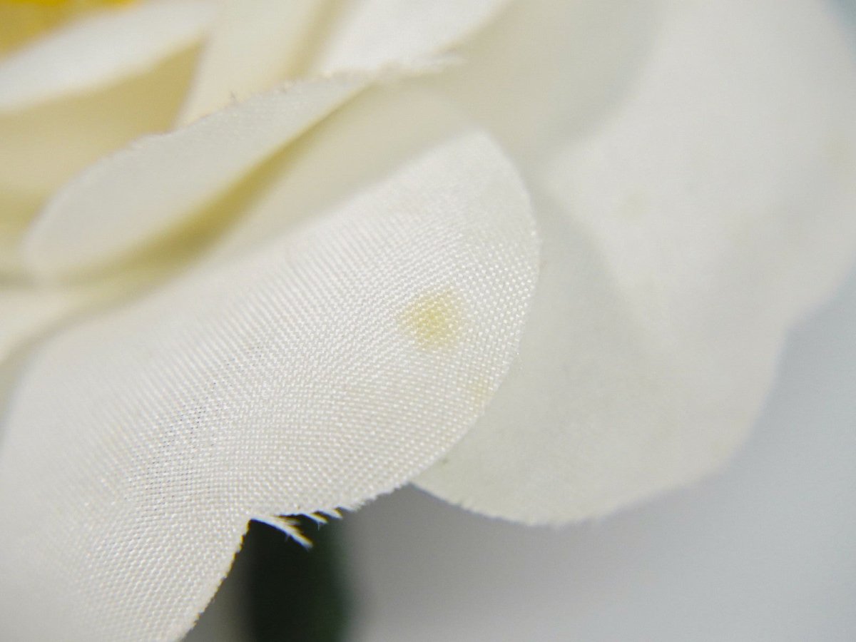 Chanel CC Camellia Brooch - Brandsamsara