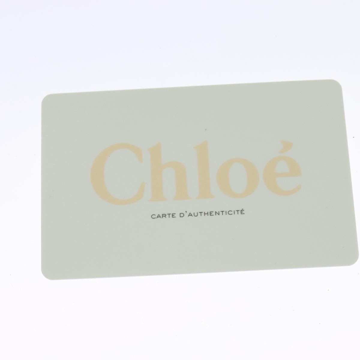 Chloe Faye Shoulder Bag - Brandsamsara