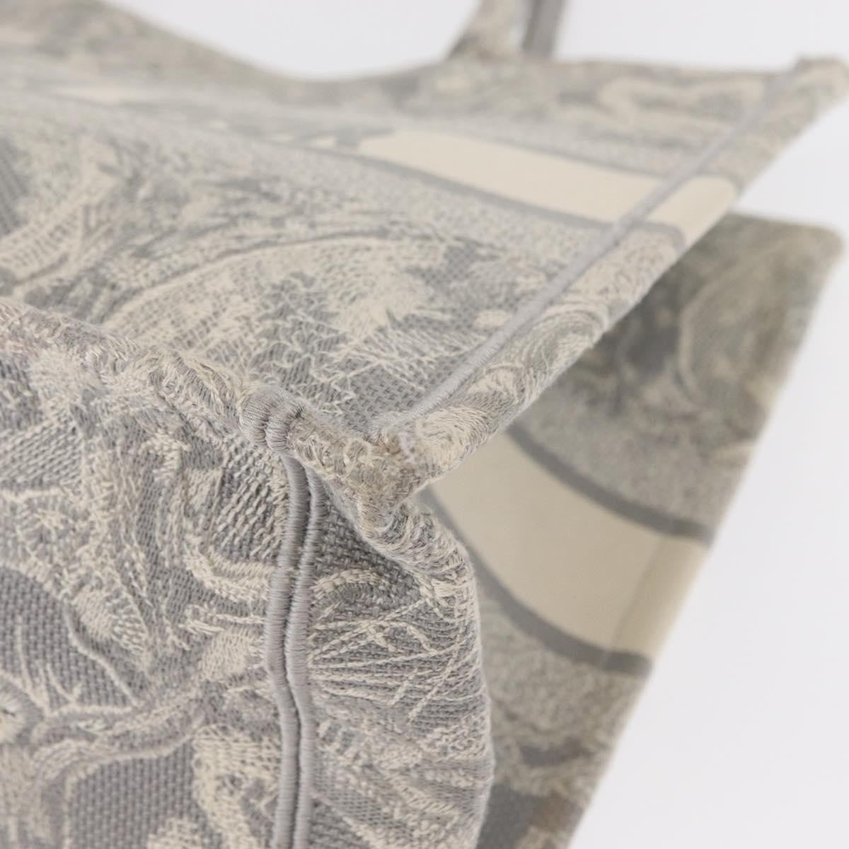 Christian Dior Book Tote - Brandsamsara