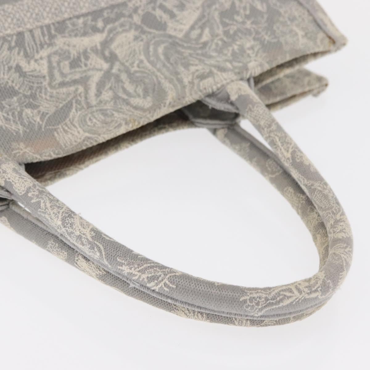 Christian Dior Book Tote - Brandsamsara