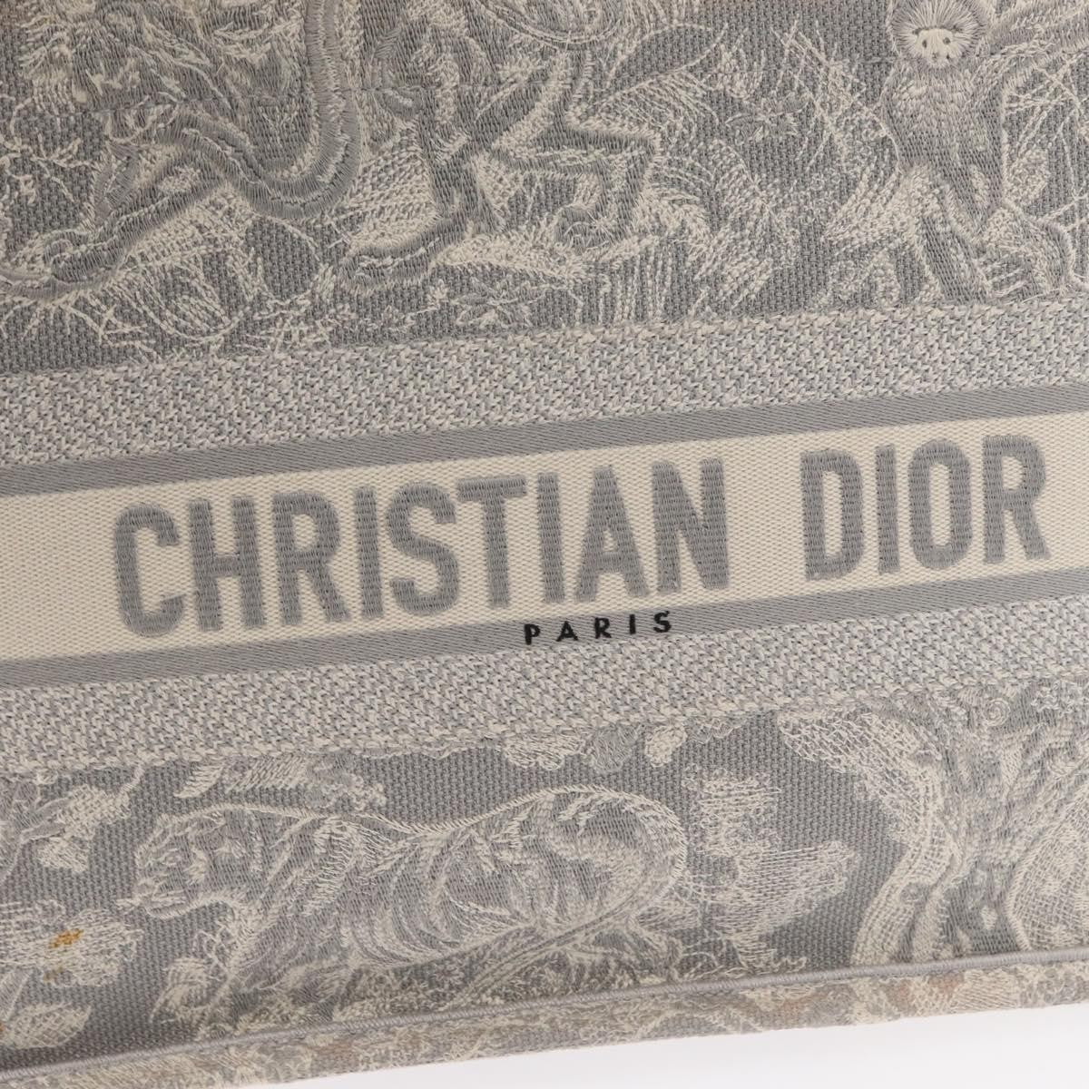 Christian Dior Book Tote - Brandsamsara