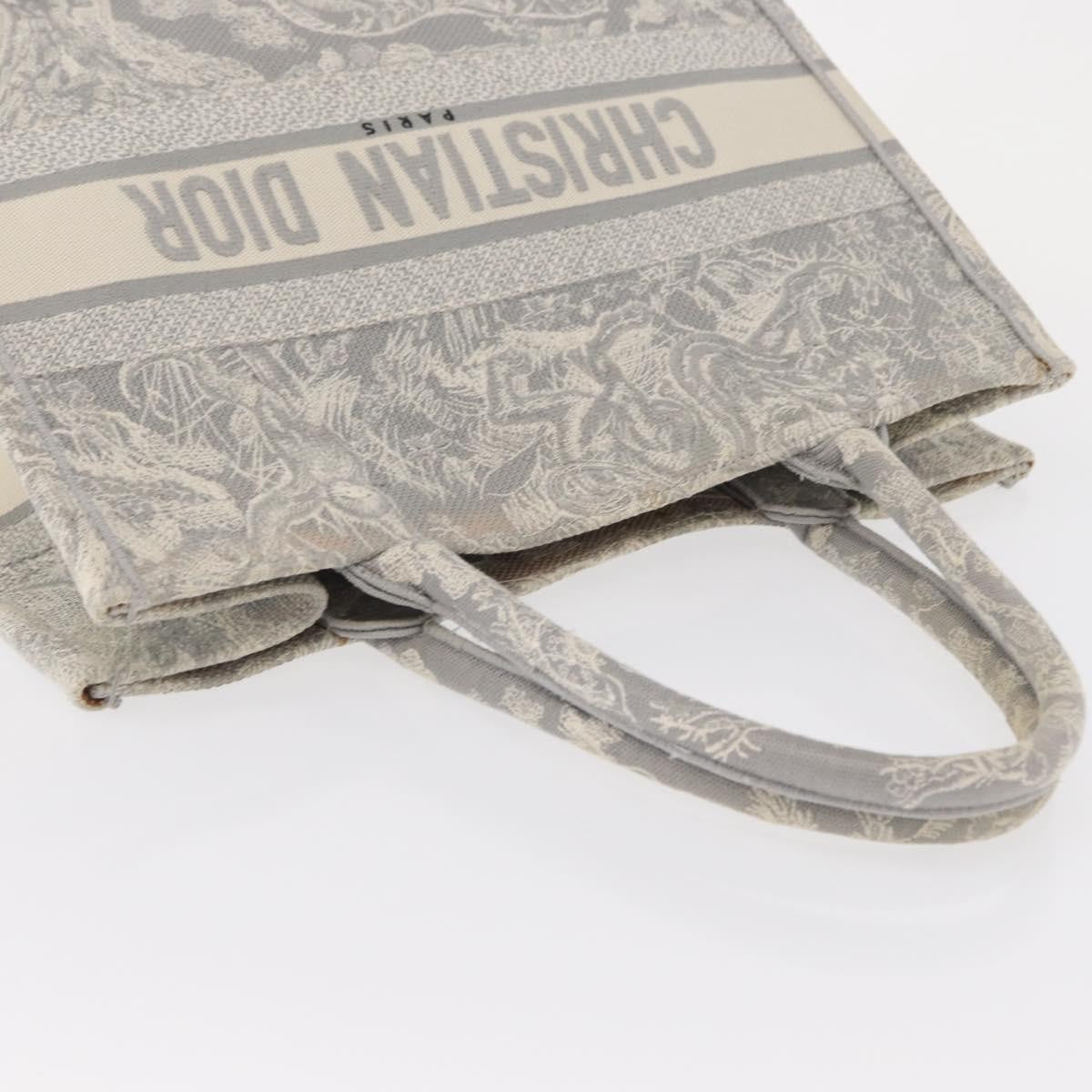 Christian Dior Book Tote - Brandsamsara