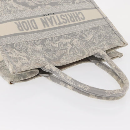 Christian Dior Book Tote - Brandsamsara