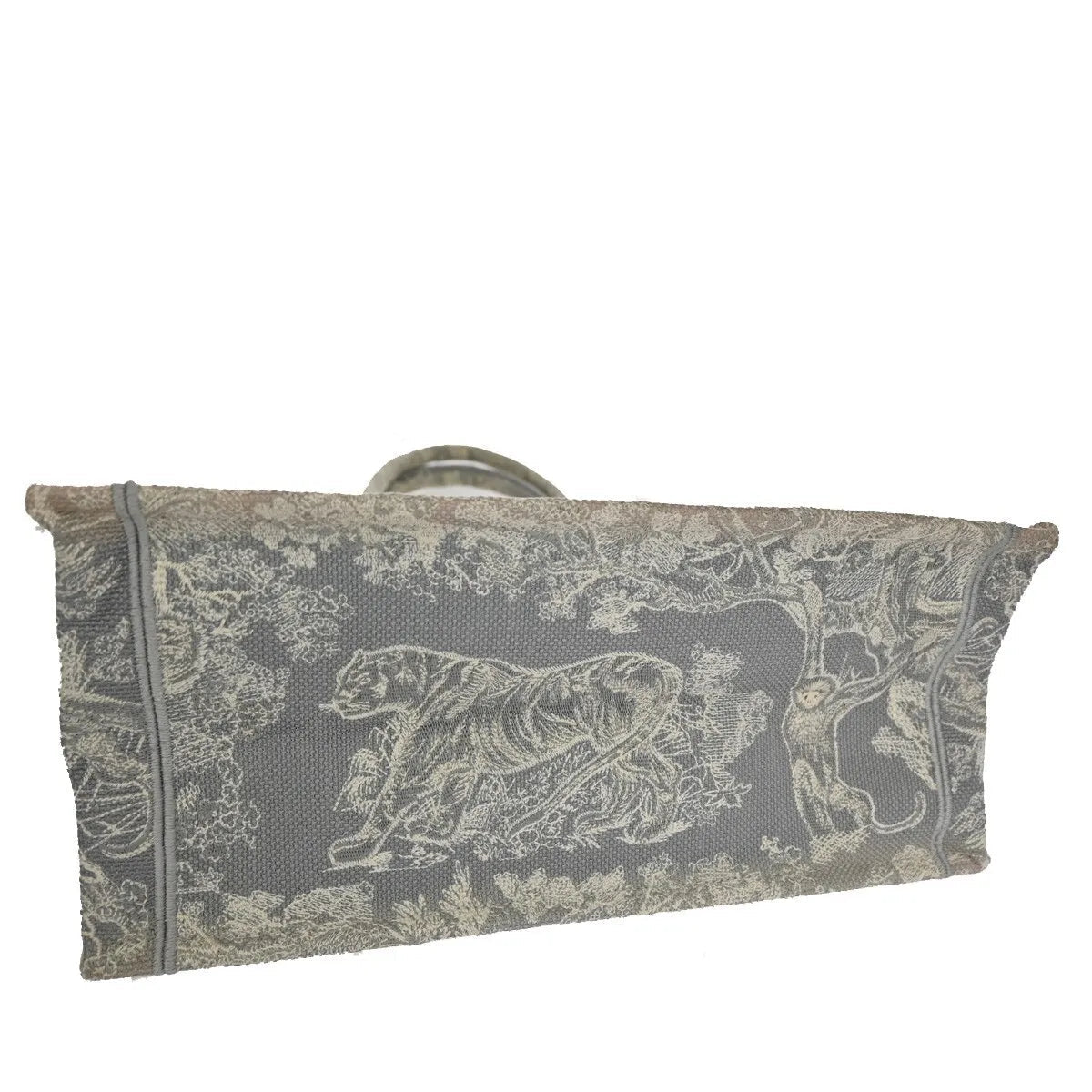 Christian Dior Book Tote - Brandsamsara