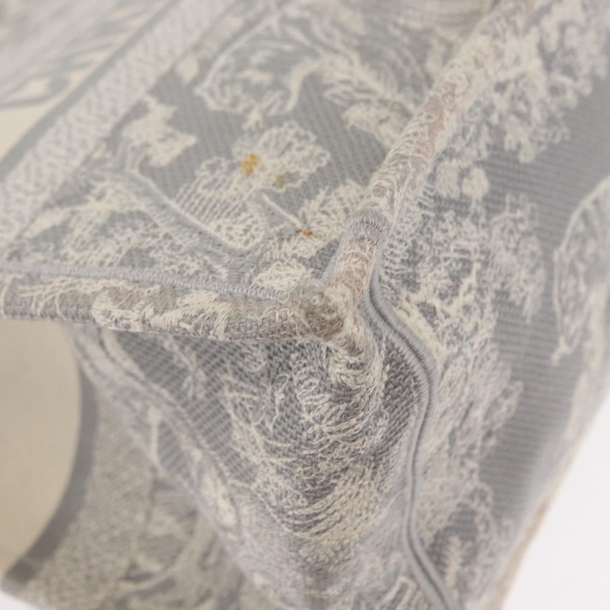 Christian Dior Book Tote - Brandsamsara