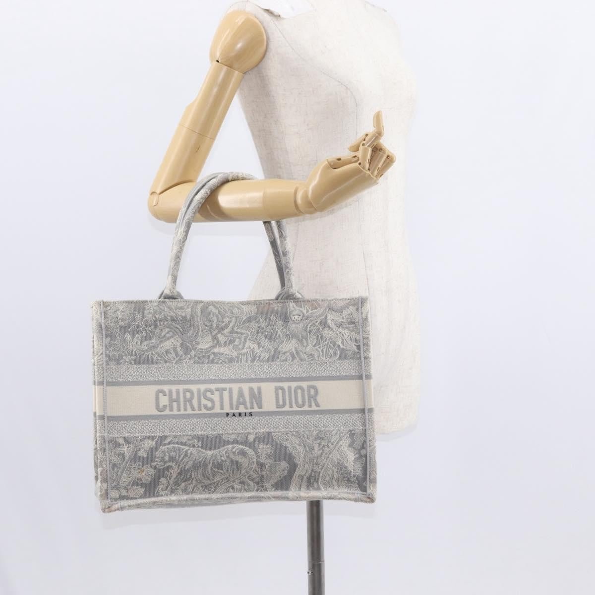Christian Dior Book Tote - Brandsamsara