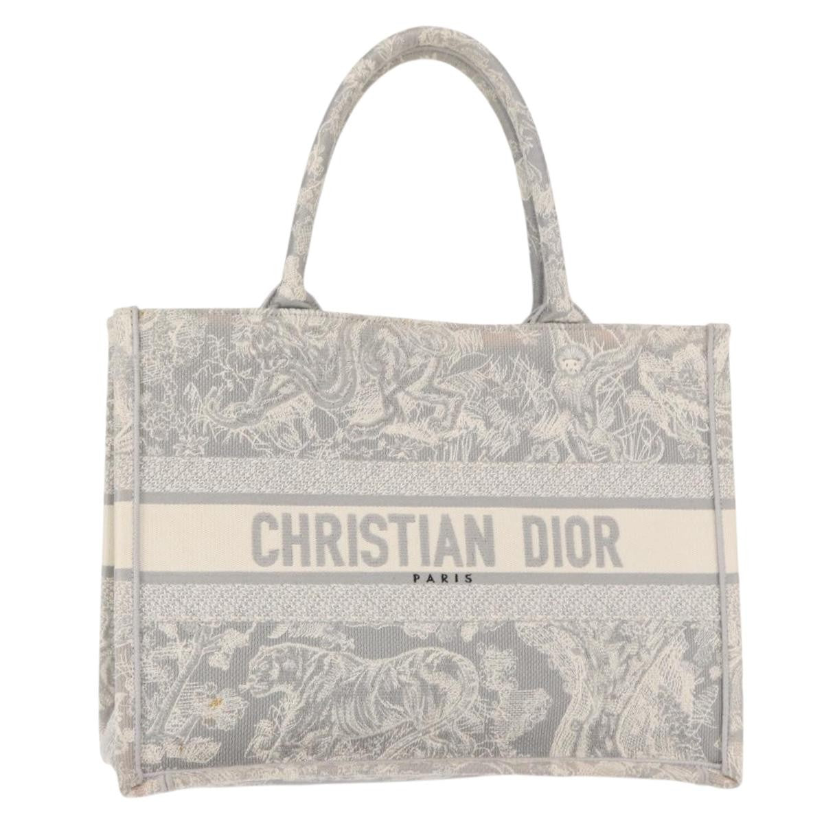 Christian Dior Book Tote - Brandsamsara