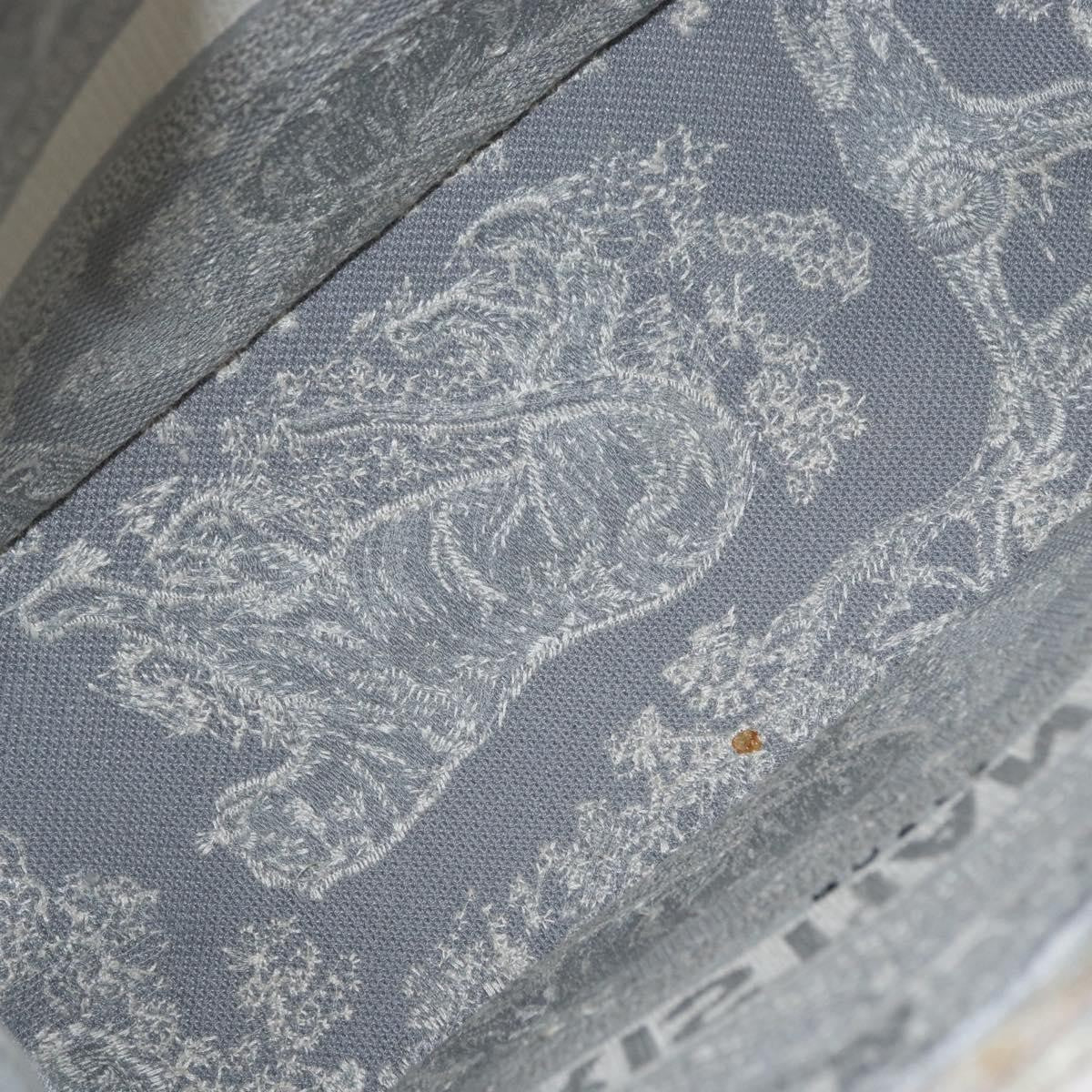 Christian Dior Book Tote - Brandsamsara