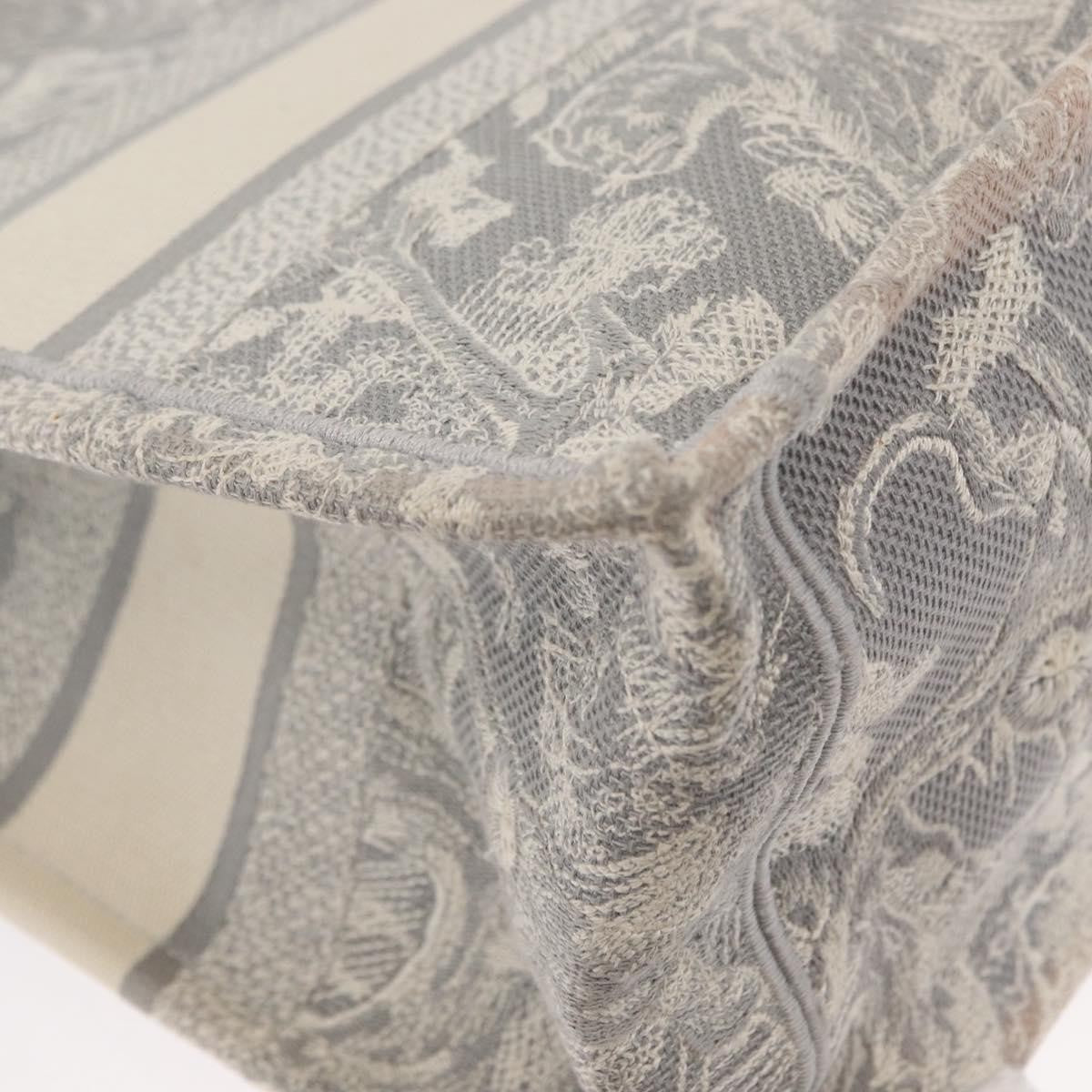 Christian Dior Book Tote - Brandsamsara