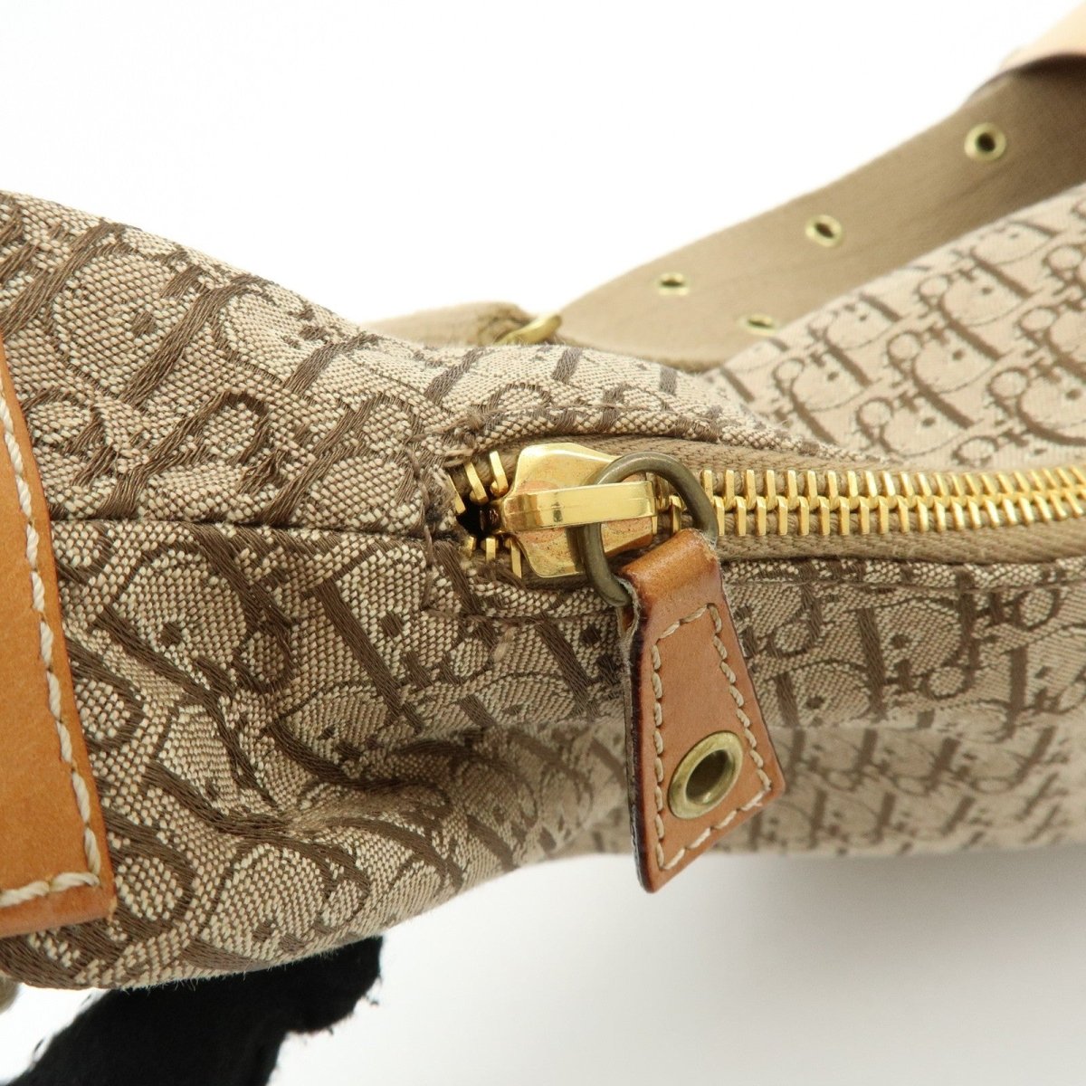 Christian Dior Street Chic Hobo - Brandsamsara