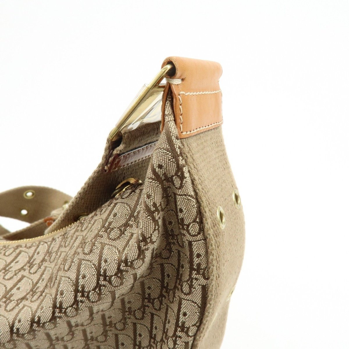 Christian Dior Street Chic Hobo - Brandsamsara