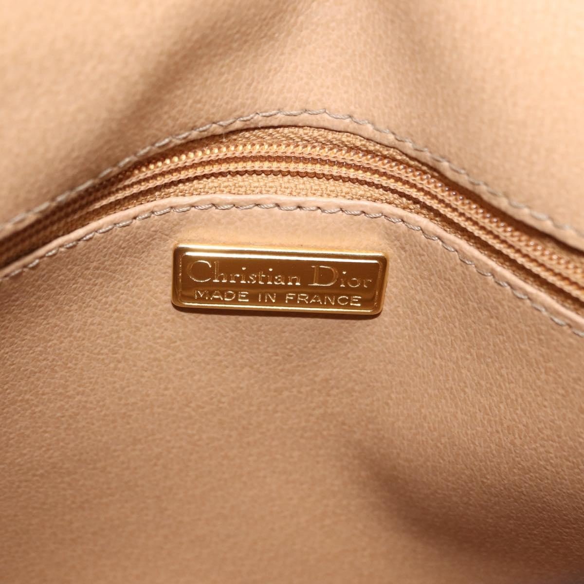 Christian Dior Trotter - Brandsamsara