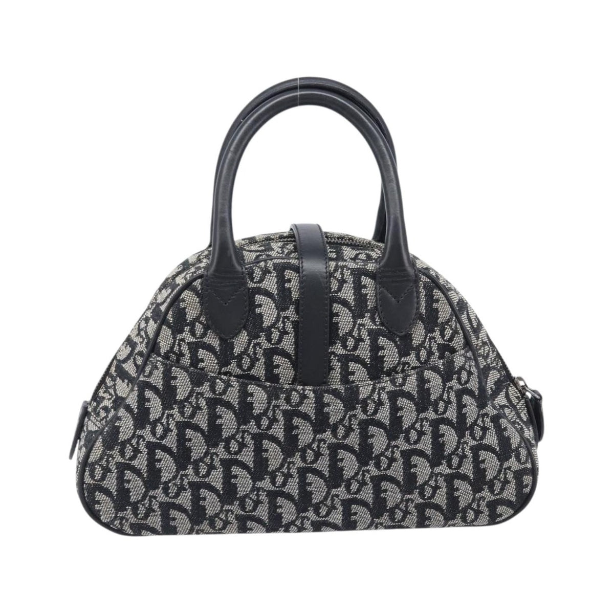 Christian Dior Trotter Double Saddle Canvas, Black, Canvas, Handbag