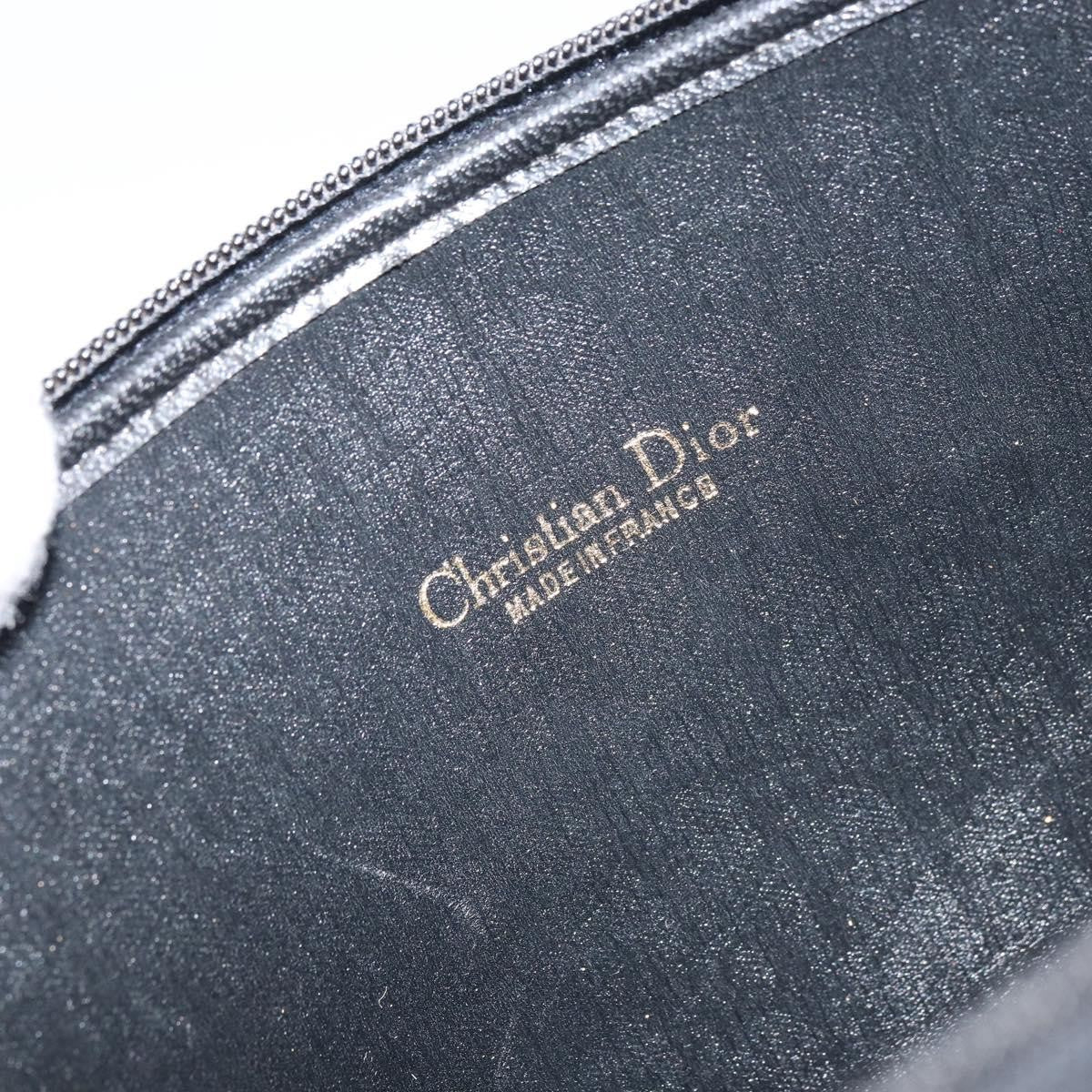Christian Dior Trotter pouch - Brandsamsara