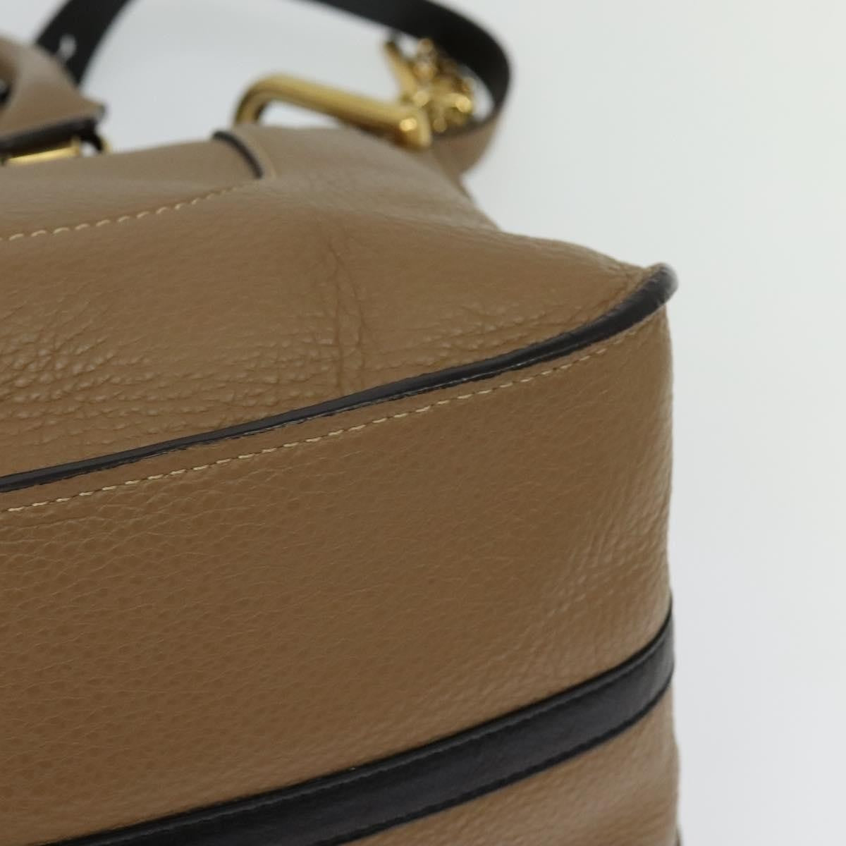 Chloe Hailey Leather, Beige, Leather, Handbag