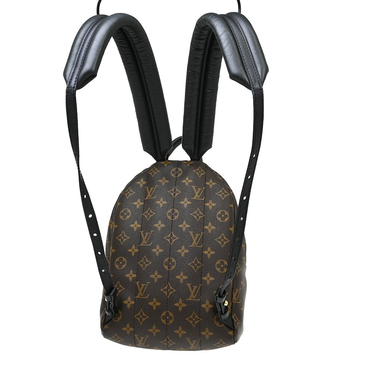 Louis Vuitton Palm Springs Monogram, Brown, Canvas, Backpack