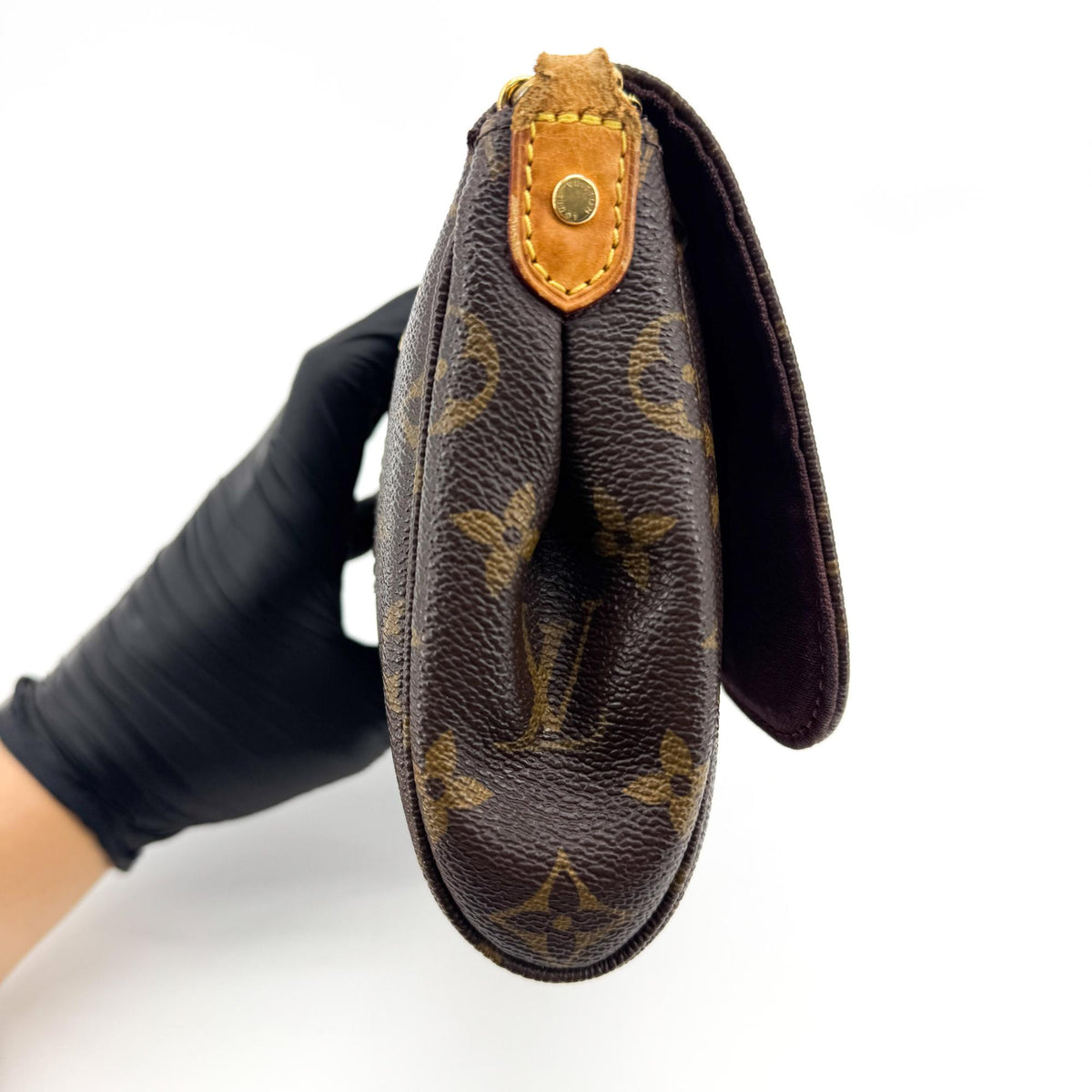 Louis Vuitton Favorite Monogram Canvas, Brown, Canvas, Handbag