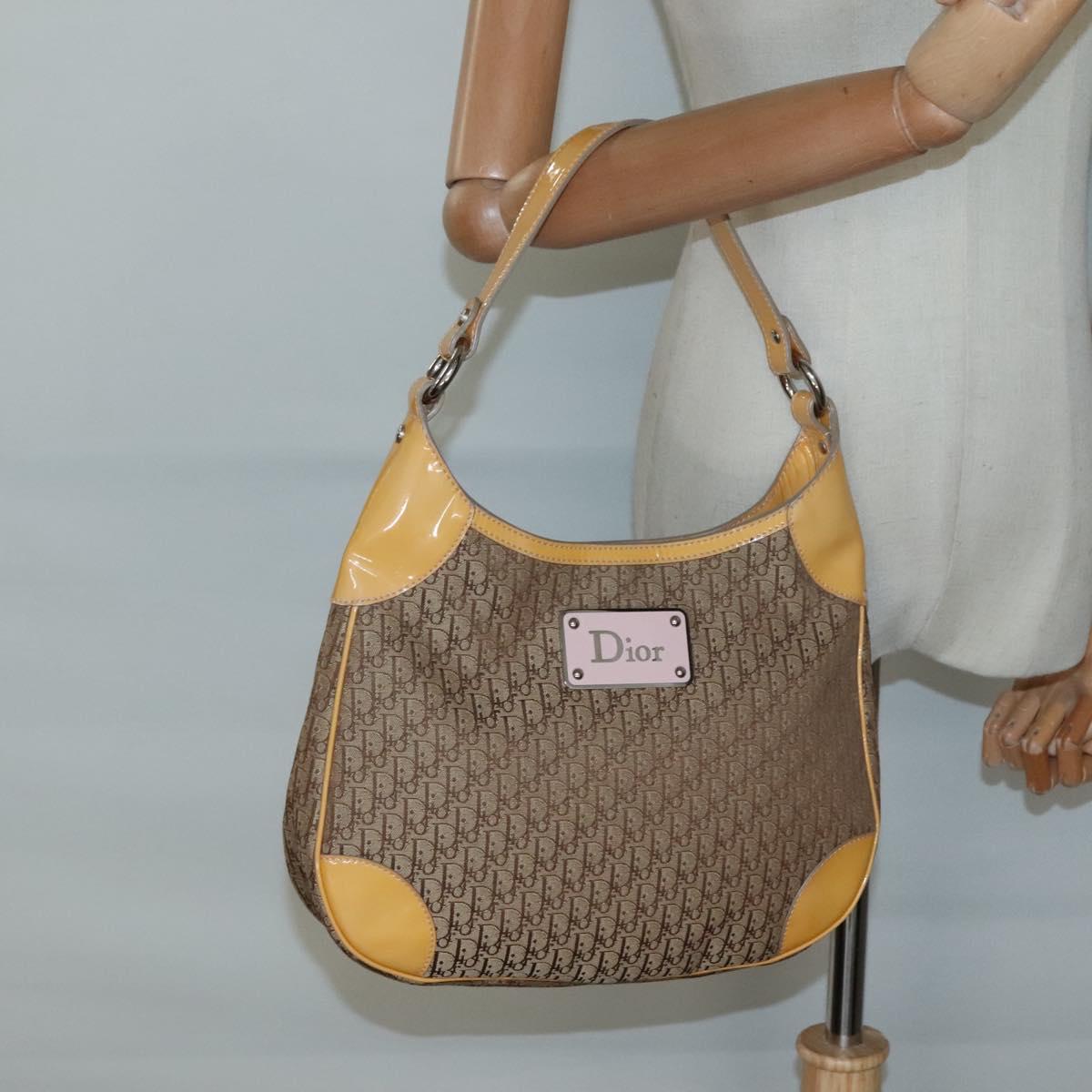 Dior Street Chic Hobo - Brandsamsara
