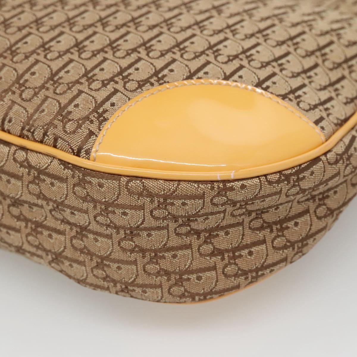 Dior Street Chic Hobo - Brandsamsara