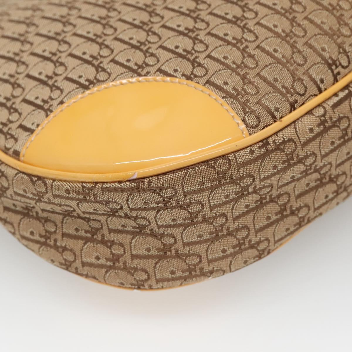 Dior Street Chic Hobo - Brandsamsara