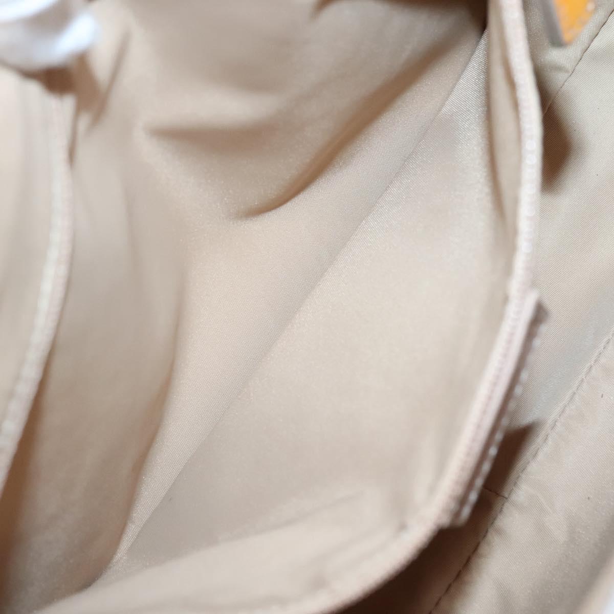 Dior Street Chic Hobo - Brandsamsara