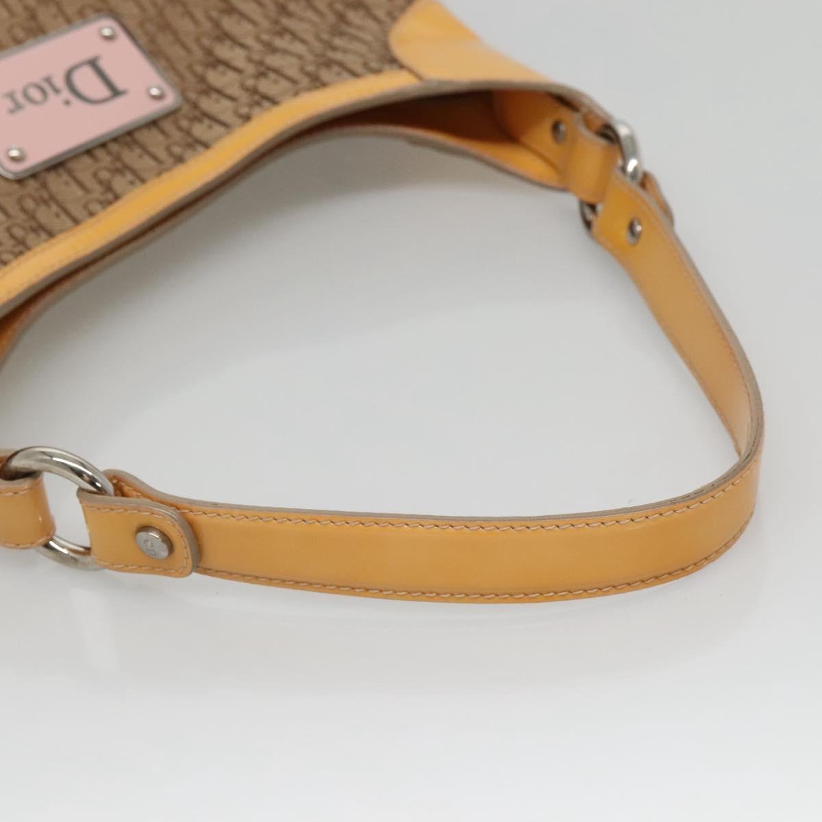 Dior Street Chic Hobo - Brandsamsara