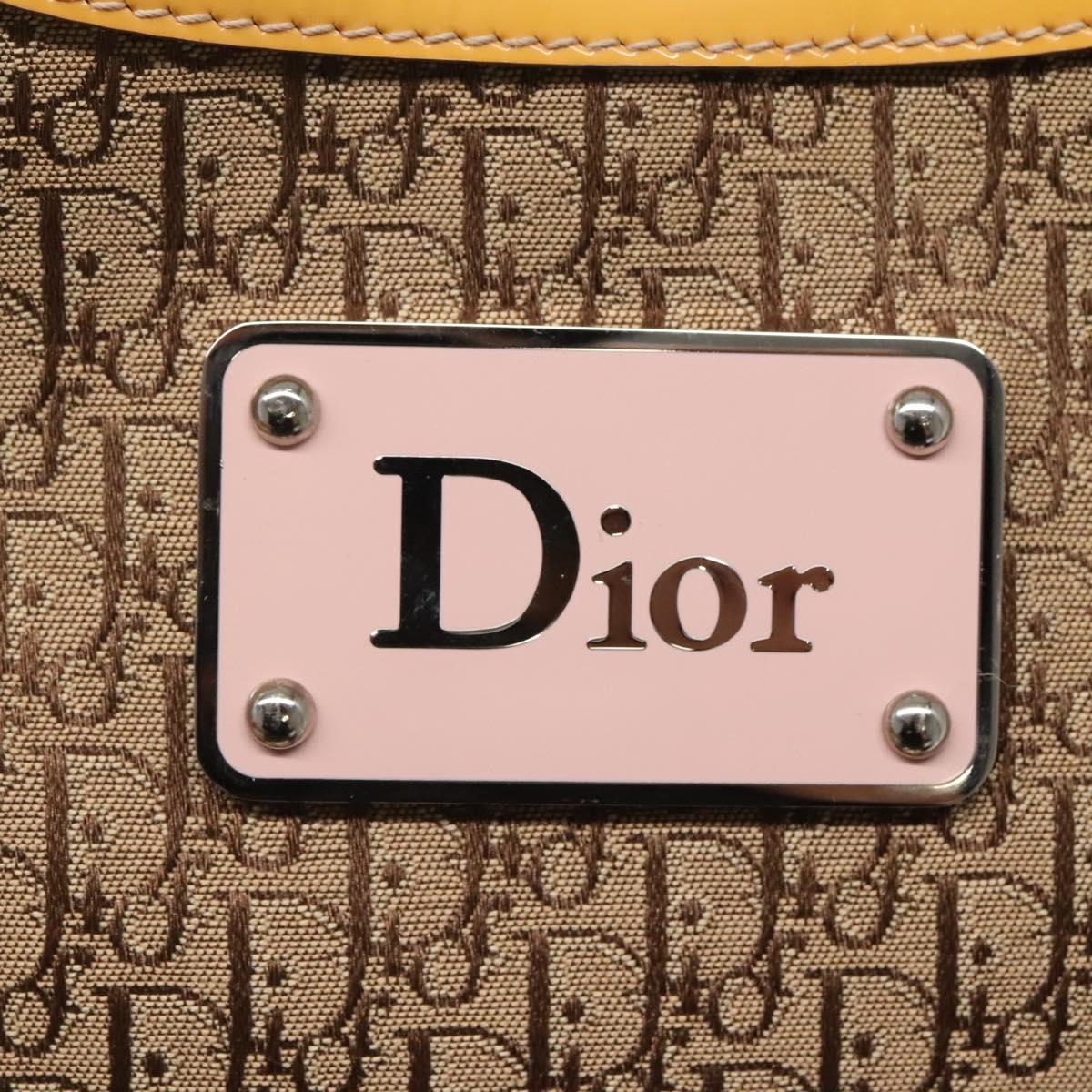 Dior Street Chic Hobo - Brandsamsara