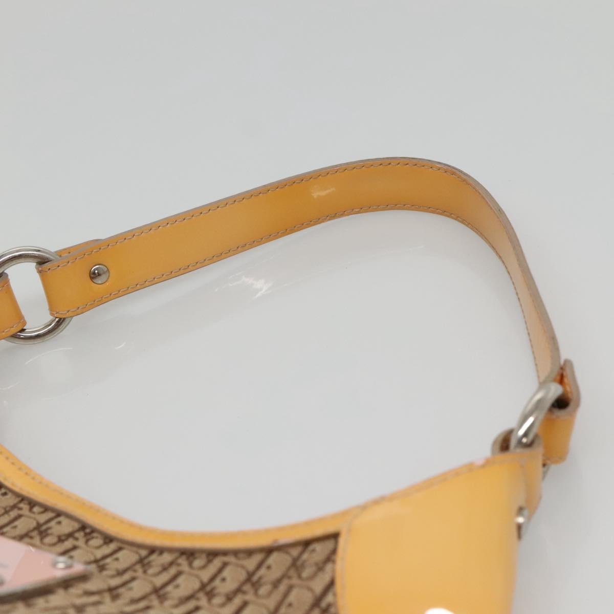 Dior Street Chic Hobo - Brandsamsara