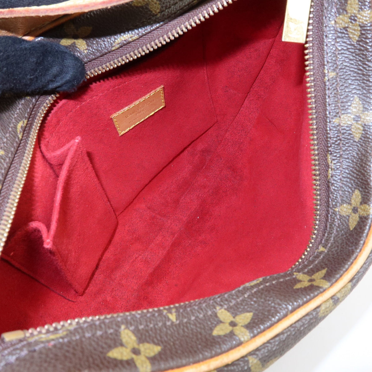 Louis Vuitton Croissant Monogram Canvas, Brown, Canvas, Handbag