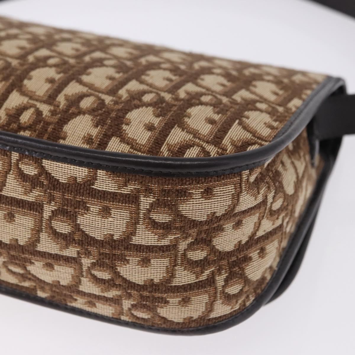 Christian Dior Trotter shoulder bag Sequins, Beige, Canvas, Shoulder Bag