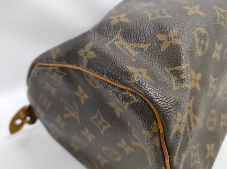 Louis Vuitton Speedy Handbag Monogram Canvas, BROWN, CANVAS, Handbag