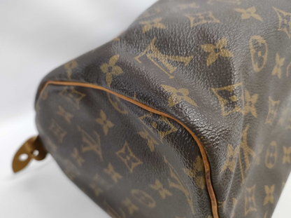 Louis Vuitton Speedy Handbag Monogram Canvas, BROWN, CANVAS, Handbag