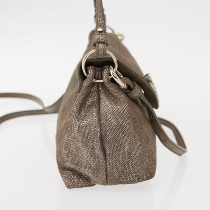 Chloe Lily Canvas, Silver, Canvas, Handbag