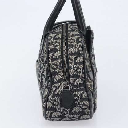 Christian Dior Trotter Double Saddle Canvas, Black, Canvas, Handbag