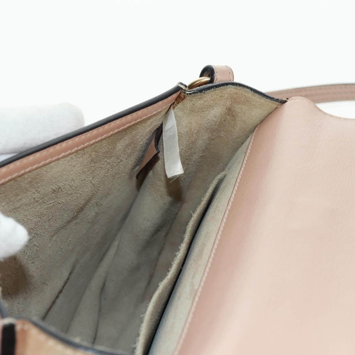 Chloe Nile Leather, Pink, Leather, Handbag