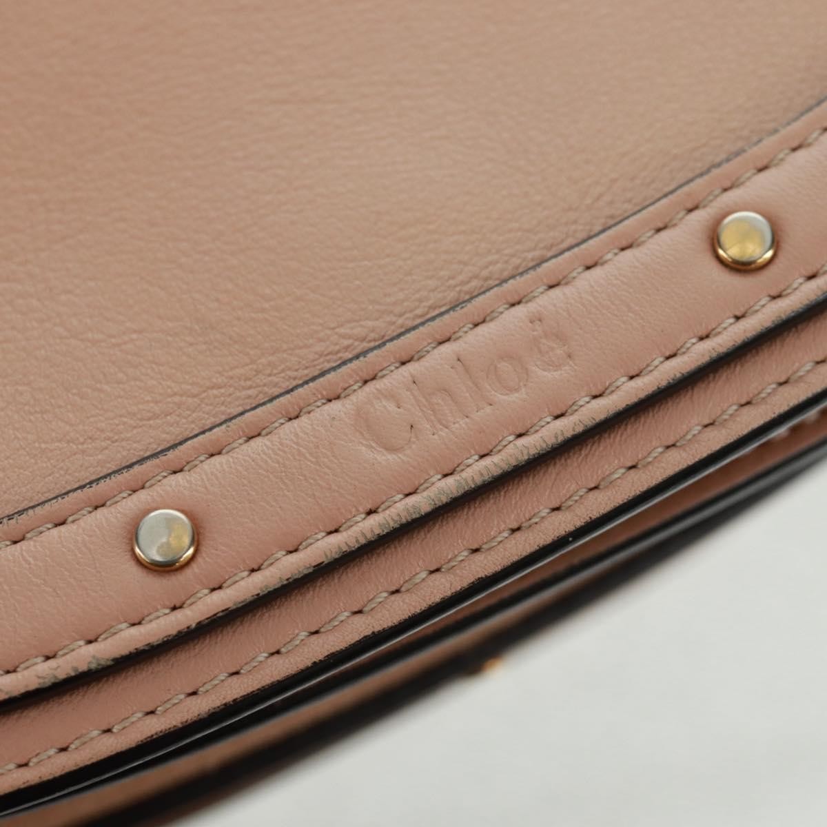Chloe Nile Leather, Pink, Leather, Handbag