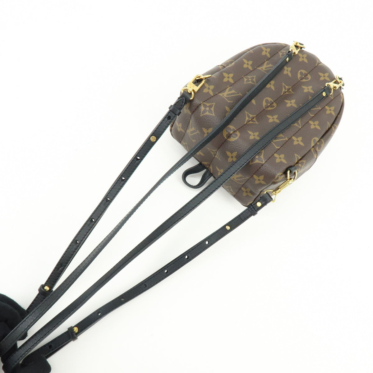 Louis Vuitton Palm Springs Monogram Canvas, Brown, Canvas, Backpack