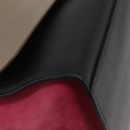 Celine Trapeze Leather with Suede, Multicolour, Leather, Handbag