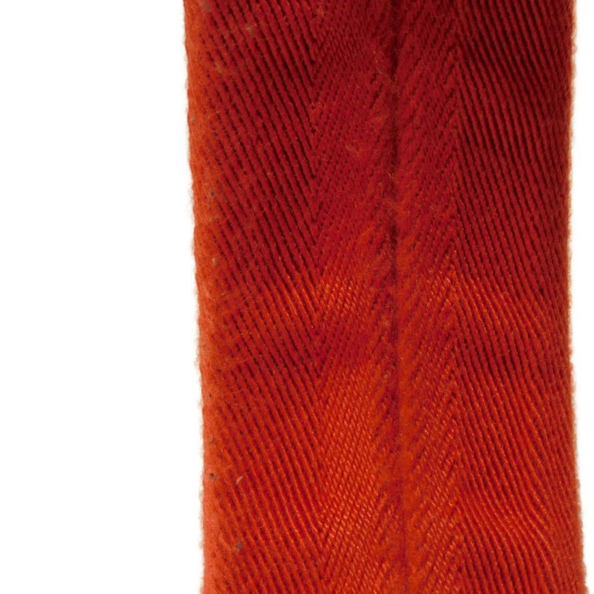 Gucci GG nylon - Brandsamsara